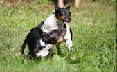 Enlarge photo 20