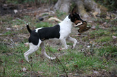 Enlarge photo 15