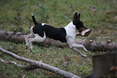 Enlarge photo 14