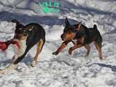 Enlarge photo 5