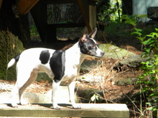 Enlarge photo 7