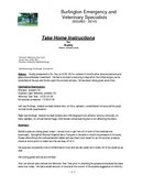 Enlarge PDF 15