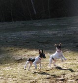 Enlarge photo 6
