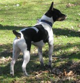 Enlarge photo 2