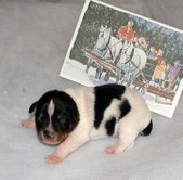 Enlarge photo 13