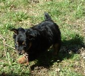 Enlarge photo 27