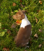 Enlarge photo 13