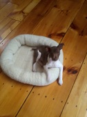 Enlarge photo 8