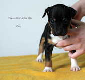 Enlarge photo 4