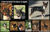 Enlarge photo 21