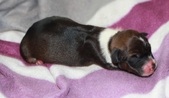 Enlarge photo 13