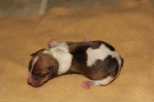 Enlarge photo 22