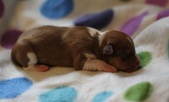 Enlarge photo 3