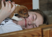 Enlarge photo 11