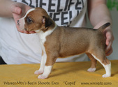 Enlarge photo 15