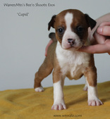 Enlarge photo 16