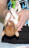 Enlarge photo 6