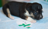 Enlarge photo 15