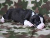 Enlarge photo 14
