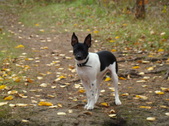 Enlarge photo 4