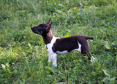 Enlarge photo 9