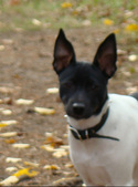 Enlarge photo 5