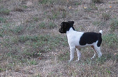 Enlarge photo 19
