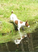 Enlarge photo 5