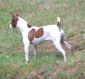 Enlarge photo 7