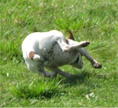 Enlarge photo 10