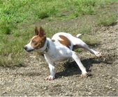 Enlarge photo 11