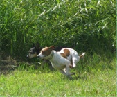 Enlarge photo 13