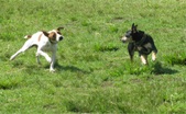 Enlarge photo 14