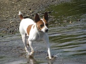 Enlarge photo 12