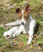 Enlarge photo 22
