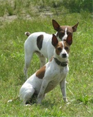 Enlarge photo 21