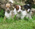 Enlarge photo 30