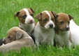 Enlarge photo 43