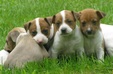 Enlarge photo 46