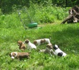 Enlarge photo 27