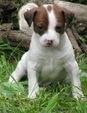 Enlarge photo 35