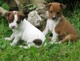 Enlarge photo 33