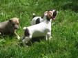 Enlarge photo 23