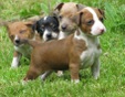 Enlarge photo 34