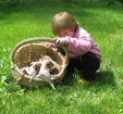Enlarge photo 24