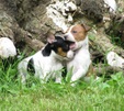 Enlarge photo 38