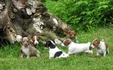 Enlarge photo 39