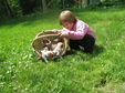 Enlarge photo 25
