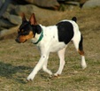 Enlarge photo 19