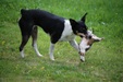 Enlarge photo 16
